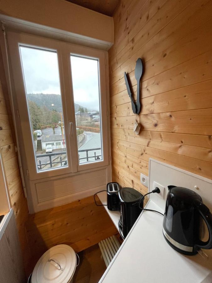Appt Lumineux Centre Ville Du Mont Dore Vue Sancy المظهر الخارجي الصورة